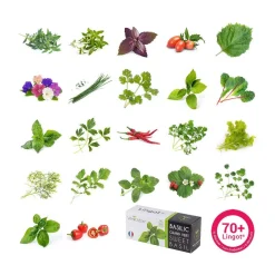 Recharge jardin d'intérieur Basilic Pourpre BIO