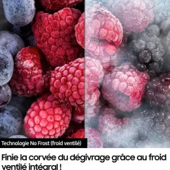 Réfrigérateur Américain RS65DG5403B1