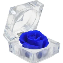 Rose éternelle bleue