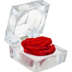 Rose éternelle rouge