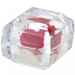 Rose éternelle rouge