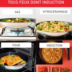 Set de 5 pièces, tous feux dont induction - Ingenio Emotion