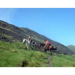 Séjour de 2 jours avec petit-déjeuner et balade à cheval en France en duo - Coffret Cadeau Séjour