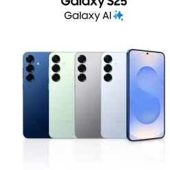 Smartphone Galaxy S25 Gris 512Go