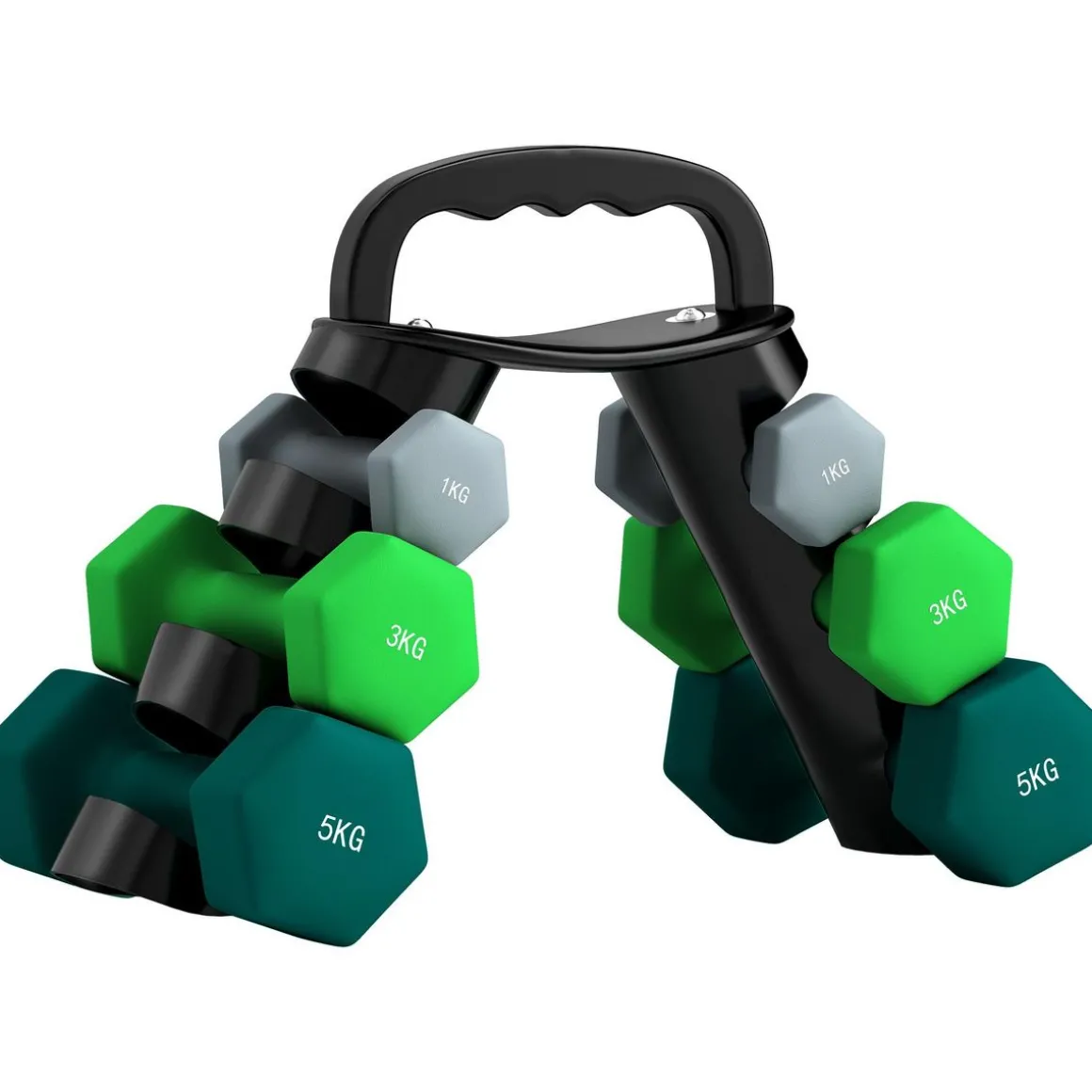 Support noir pour 6 haltères vinyles - 6 haltères incluses total 48 Kg - noir gris vert