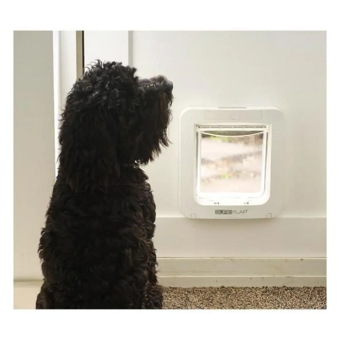 SUREFLAP Grande chatiere a puce electronique blanc