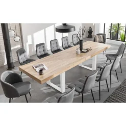 Table de séjour salle à manger extensible 200/300 cm MILTON