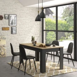 Table de séjour salle à manger extensible 160/200cm CHEST