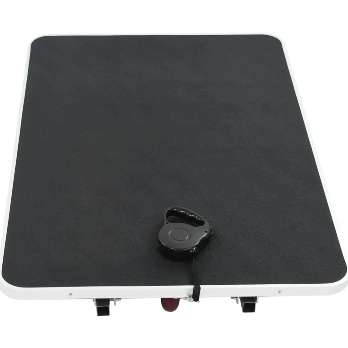 Table de toilettage pour chien portable avec roulettes