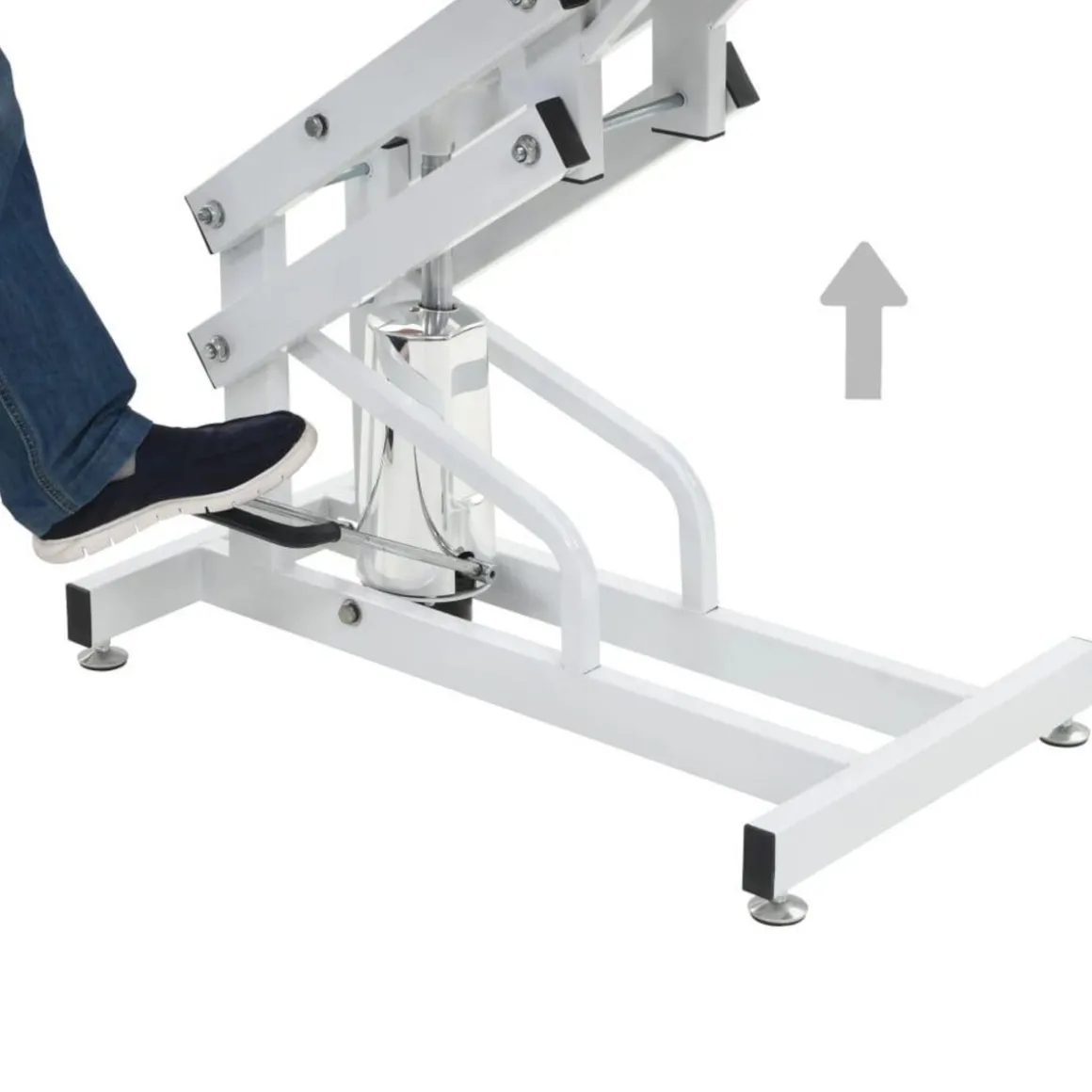 Table Toilettage Ajustable Hydraulique pour Chiens Chats Animaux