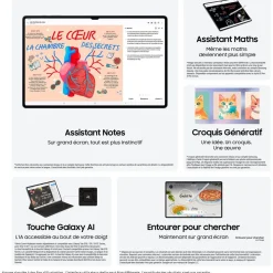 Tablette Android Galaxy Tab S10Ultra 14.6 5G 256Go Gris