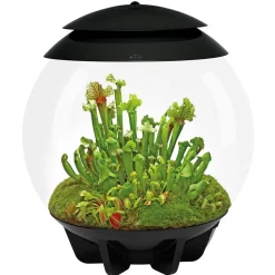 Terrarium automatisé noir - Air 30 black