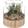 Terrarium en Verre & Bois Brito 17cm Transparent