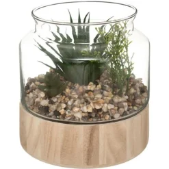 Terrarium en Verre & Bois Brito 17cm Transparent