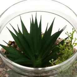 Terrarium en Verre & Bois Brito 17cm Transparent