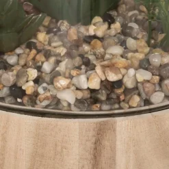 Terrarium en Verre & Bois Brito 17cm Transparent