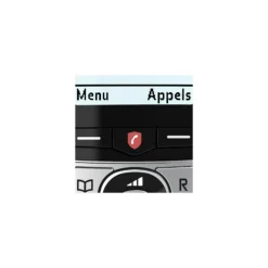 Téléphone sans fil F890 Voice Noir