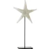 Étoile de Mer Déco sur Pied Verre 42cm Blanc