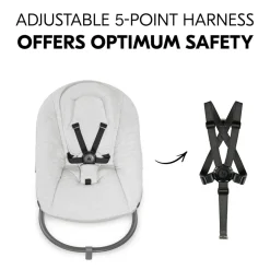 Transat Alpha Bouncer premium Gris clair