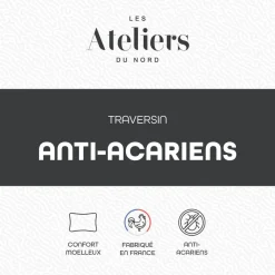 Traversin Anti-acariens