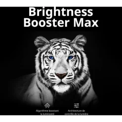 TV OLED OLED83M3 2023