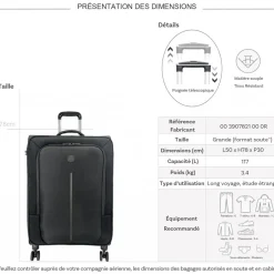 Valise Delsey