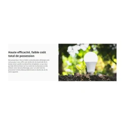 Vidéoprojecteur bureautique PL2520i