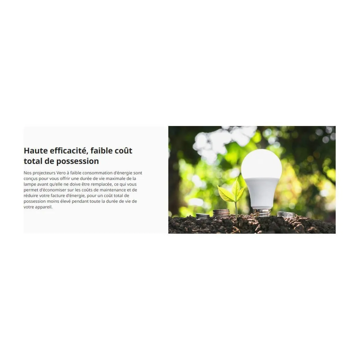 Vidéoprojecteur bureautique PL2520i