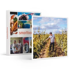Visite de vignoble en famille et dégustation près de Versailles - Coffret Cadeau Gastronomie