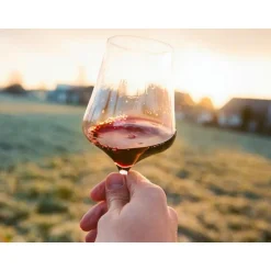 Visite de vignoble en famille et dégustation près de Versailles - Coffret Cadeau Gastronomie