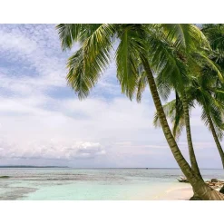 Voyage en Floride : 5 jours en hôtel 3* à Miami avec excursion dans les Everglades et les Keys - Coffret Cadeau Séjour